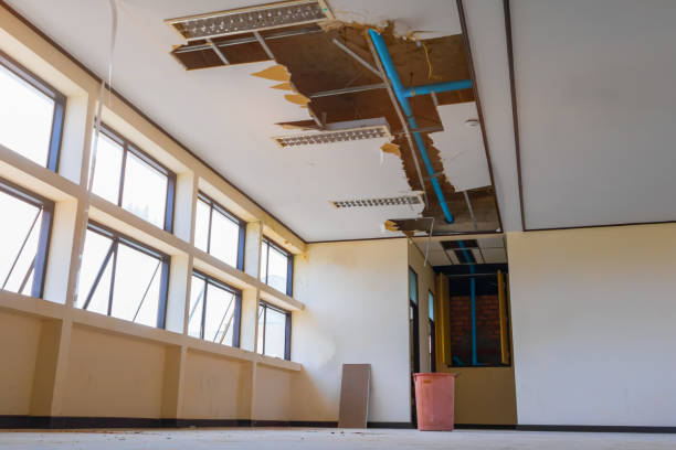 Best Flood damage cleanup  in Newton, NC