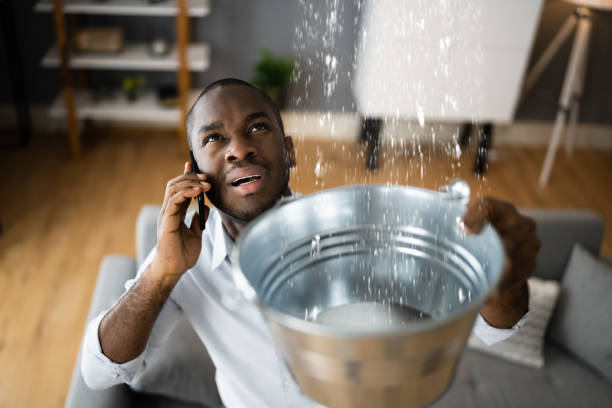 Best Mold removal after water damage  in Newton, NC