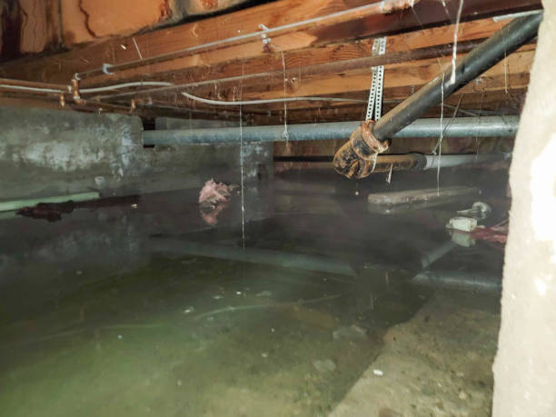 Best Commercial water damage restoration  in Newton, NC