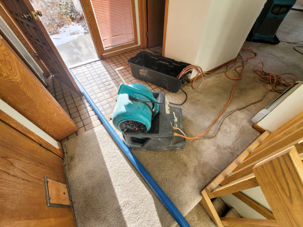 Best Water damage contractors near me  in Newton, NC