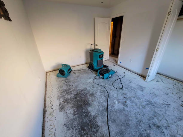 Best Water damage restoration near me  in Newton, NC