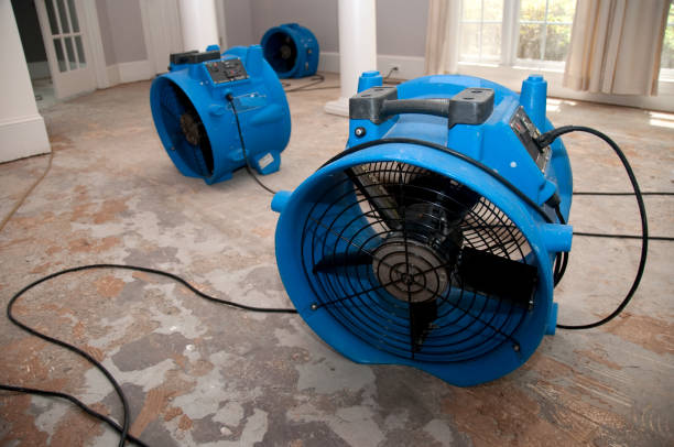 Best Local water damage restoration  in Newton, NC