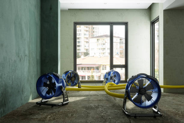 Best Mold removal after water damage  in Newton, NC